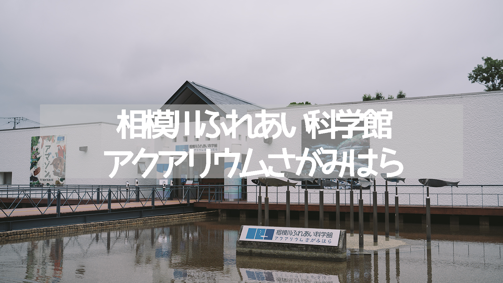 「【相模原市】あまりお金をかけずに大人も子どもも楽しめる、小さな水族館「相模川ふれあい科学館アクアリウムさがみはら」」のアイキャッチ画像